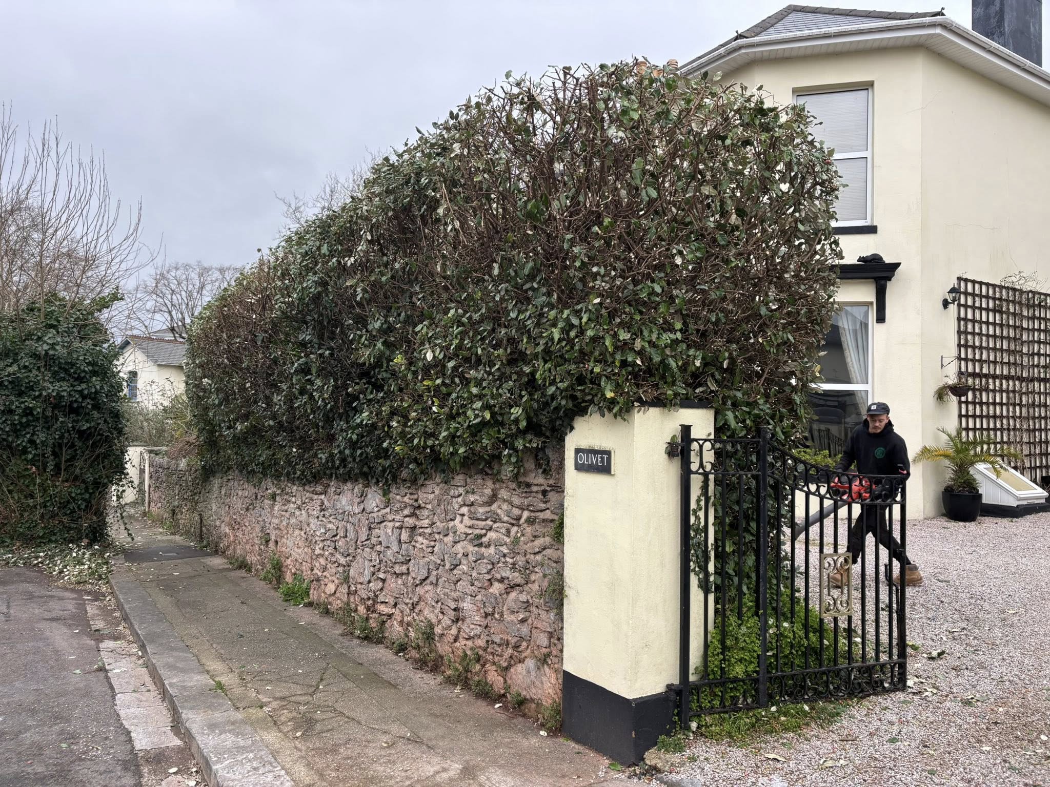 After — garden restoration