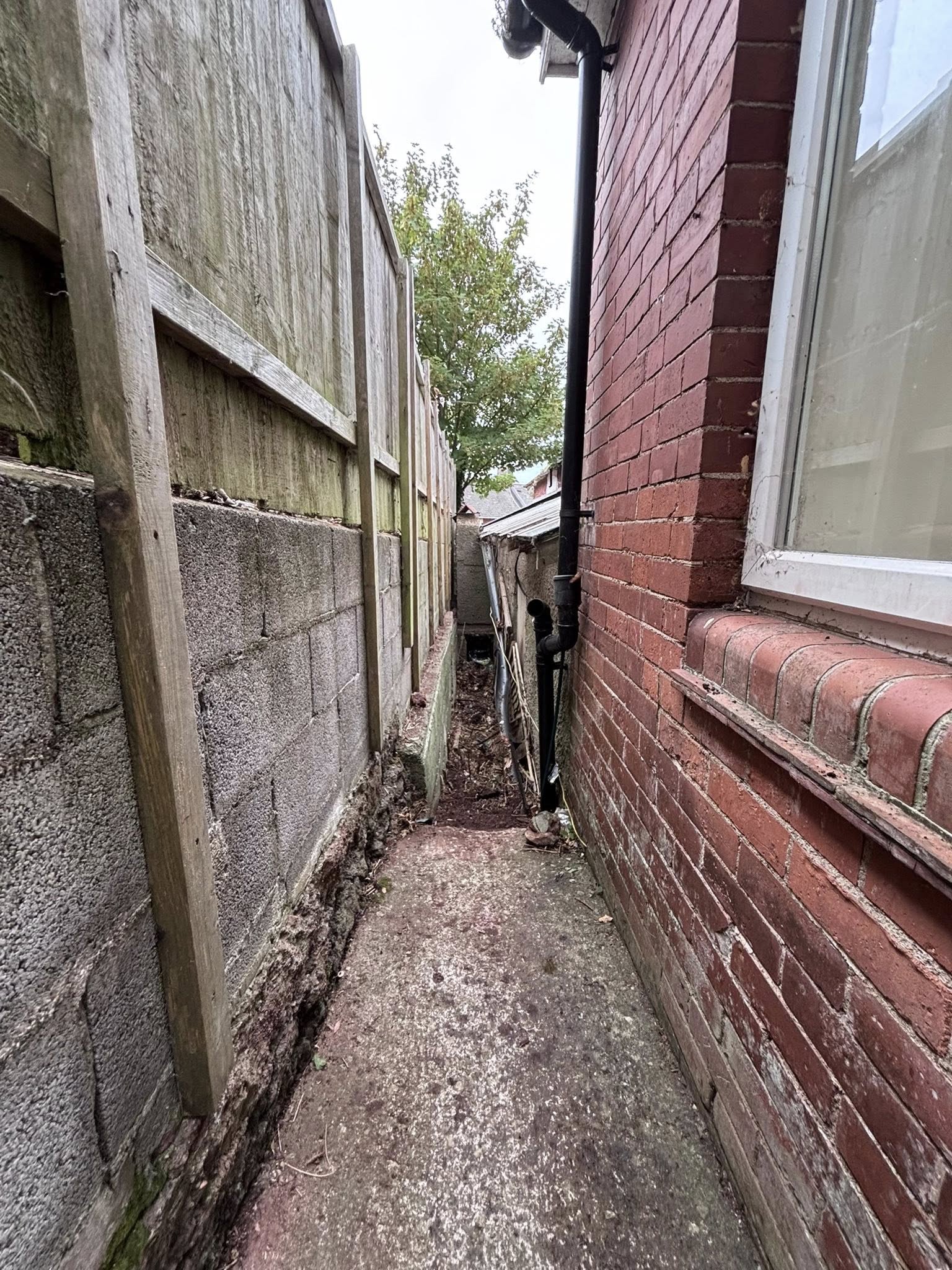After — lawn care
