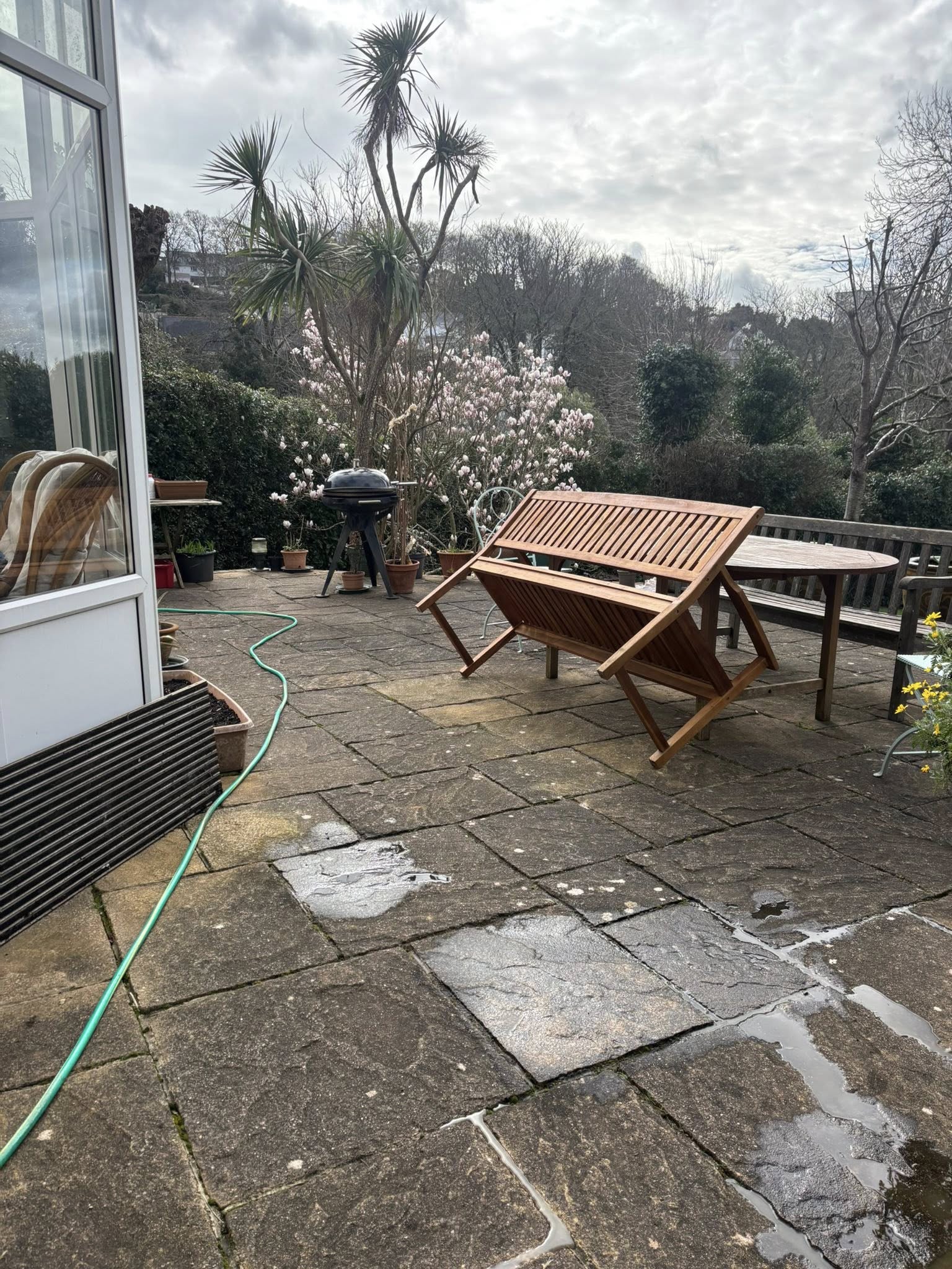 Before — garden clearance