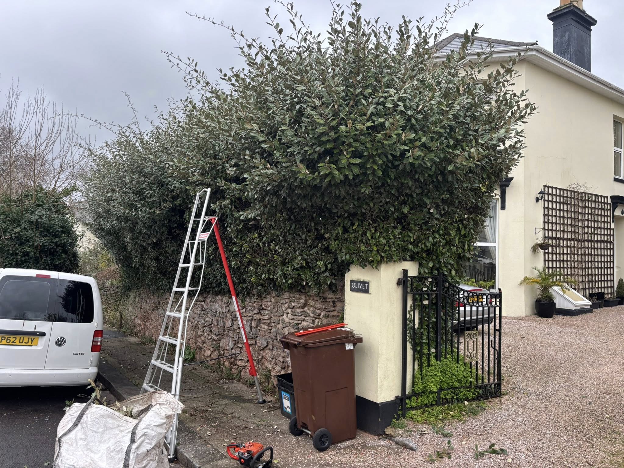 Before — garden restoration
