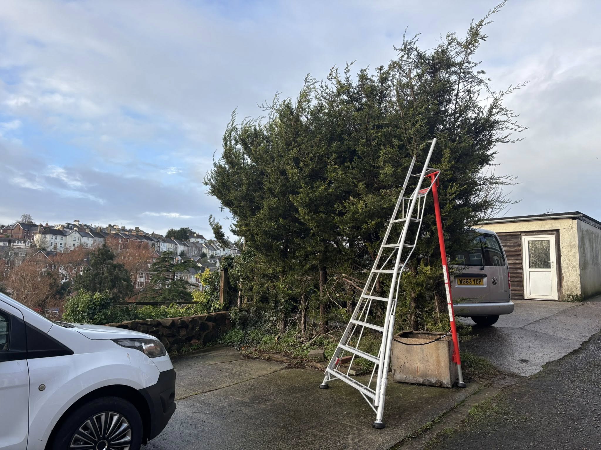 Before — second hedge