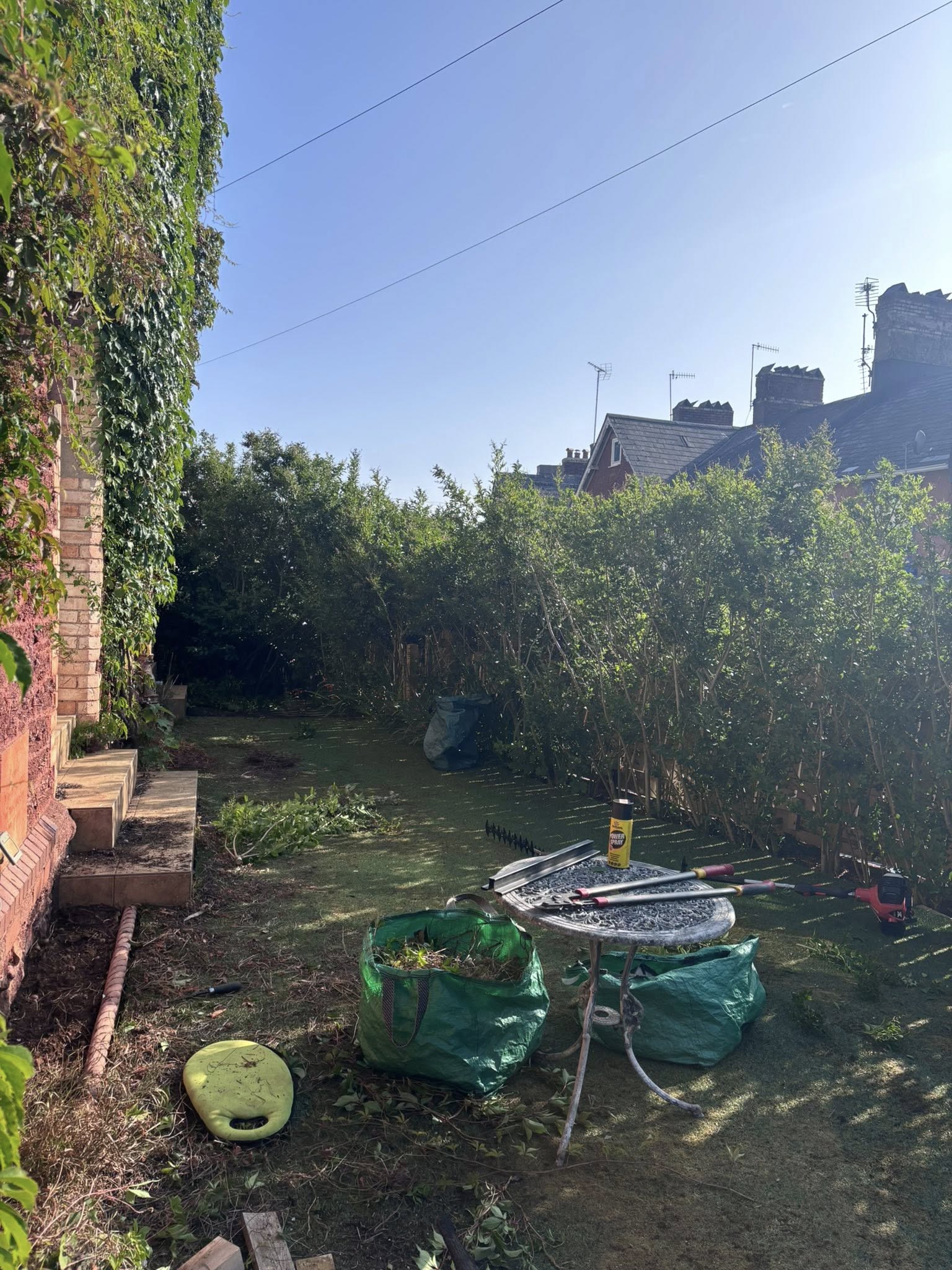Before — garden maintenance