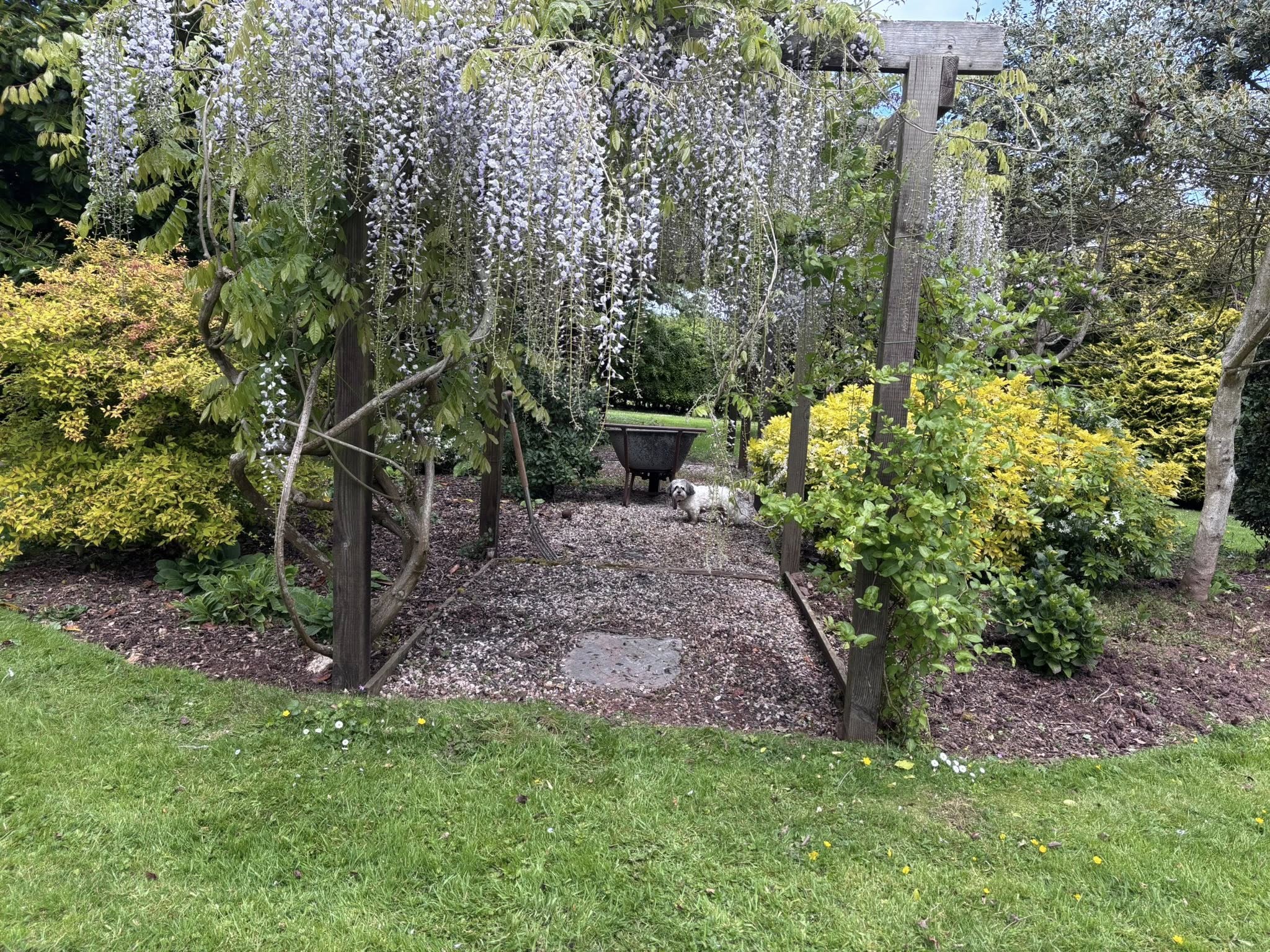 Hedge transformation